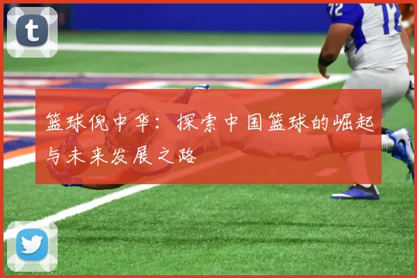 篮球倪中华：探索中国篮球的崛起与未来发展之路