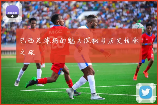 巴西足球场的魅力探秘与历史传承之旅