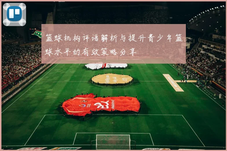篮球机构评语解析与提升青少年篮球水平的有效策略分享