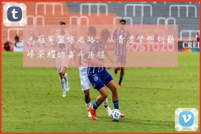 总冠军篮球之路：从青涩梦想到巅峰荣耀的奋斗历程