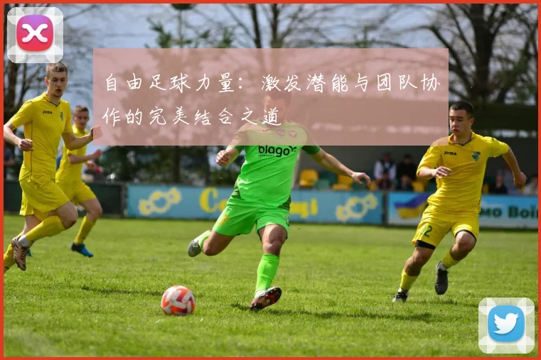 自由足球力量：激发潜能与团队协作的完美结合之道
