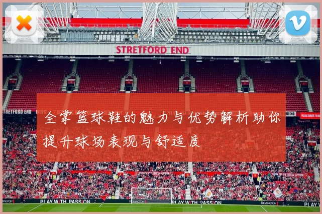 全掌篮球鞋的魅力与优势解析助你提升球场表现与舒适度