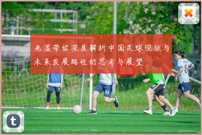 老湿带你深度解析中国足球现状与未来发展路径的思考与展望